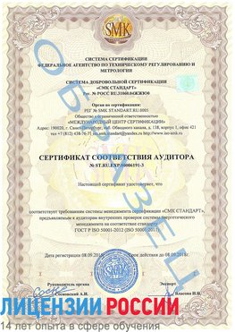 Образец сертификата соответствия аудитора №ST.RU.EXP.00006191-3 Чистополь Сертификат ISO 50001